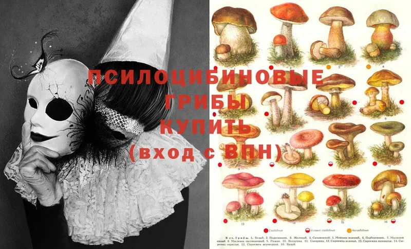 Псилоцибиновые грибы Magic Shrooms  кракен вход  Новоульяновск 